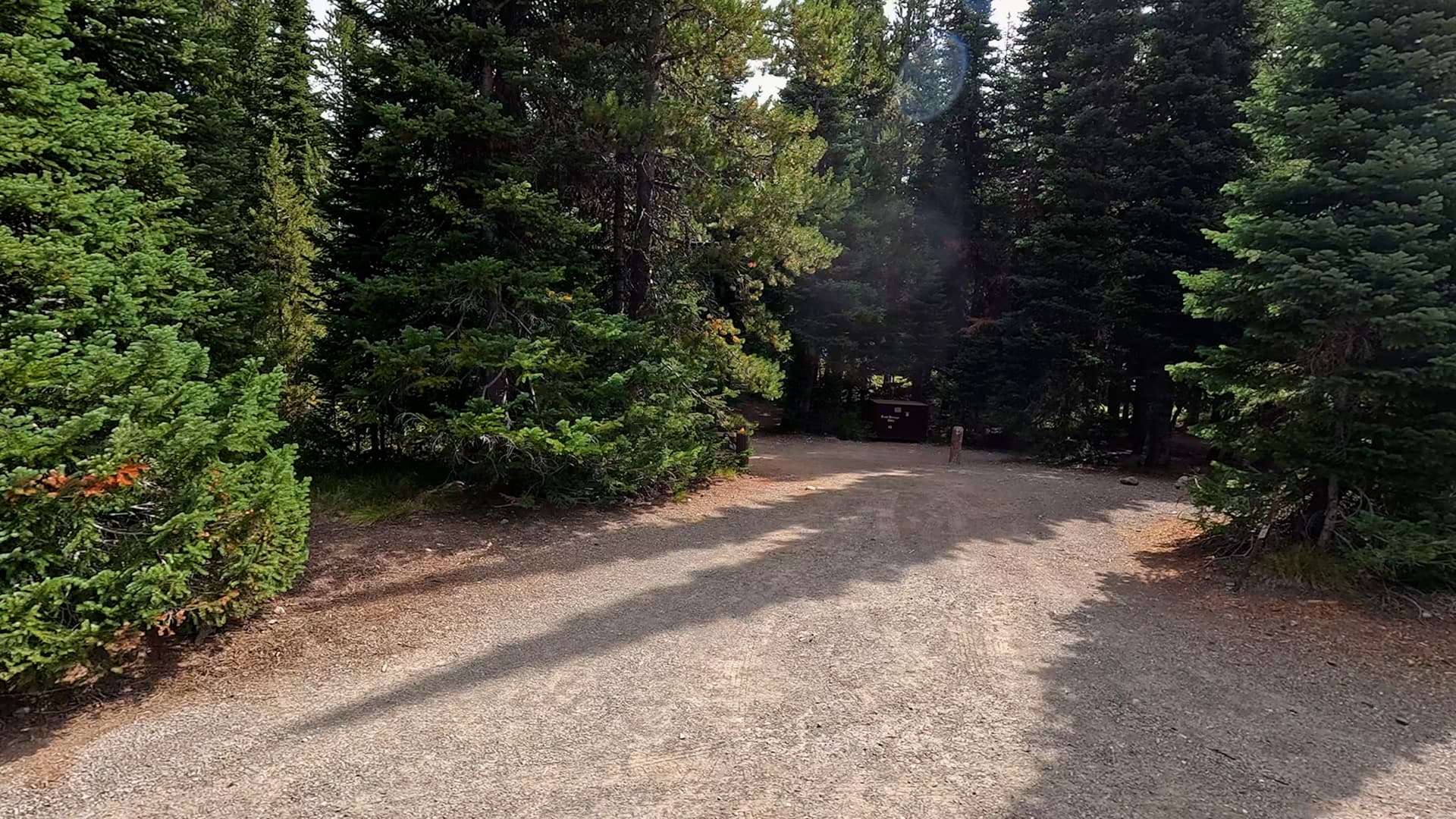 Site C42