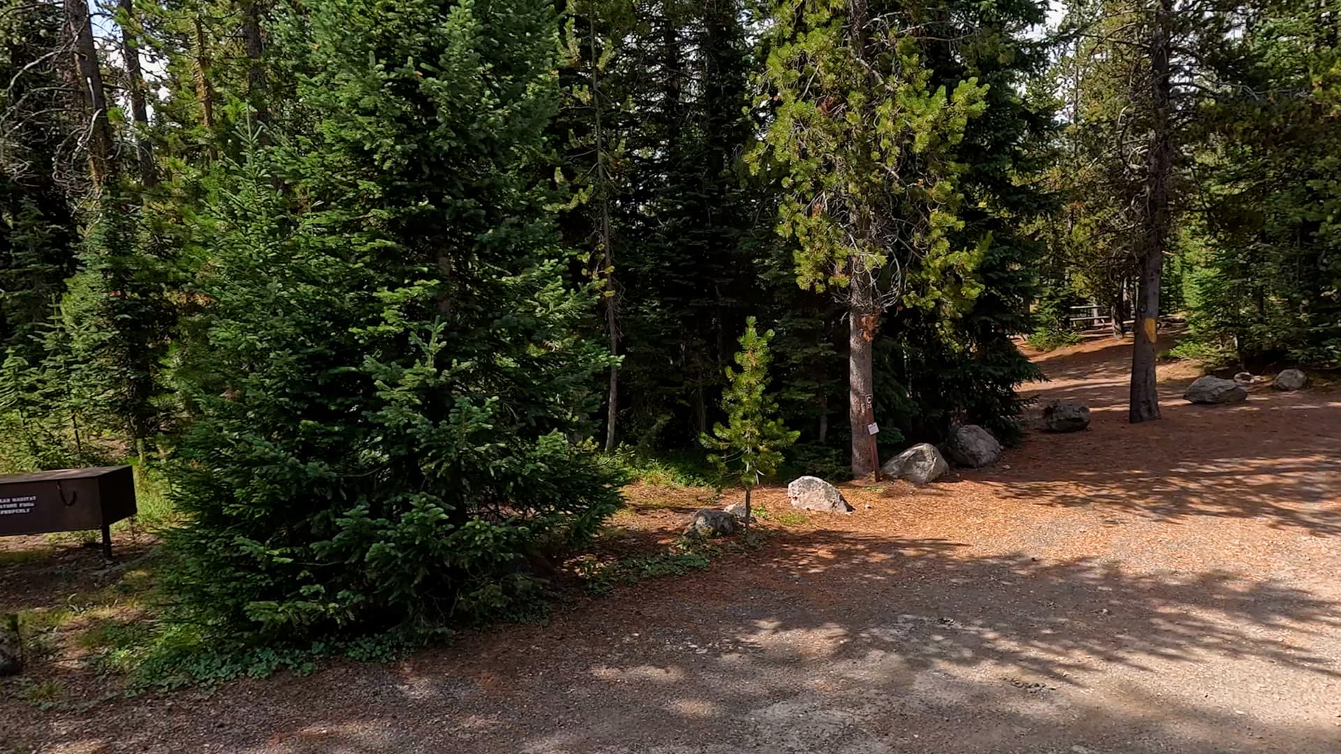 Site C29
