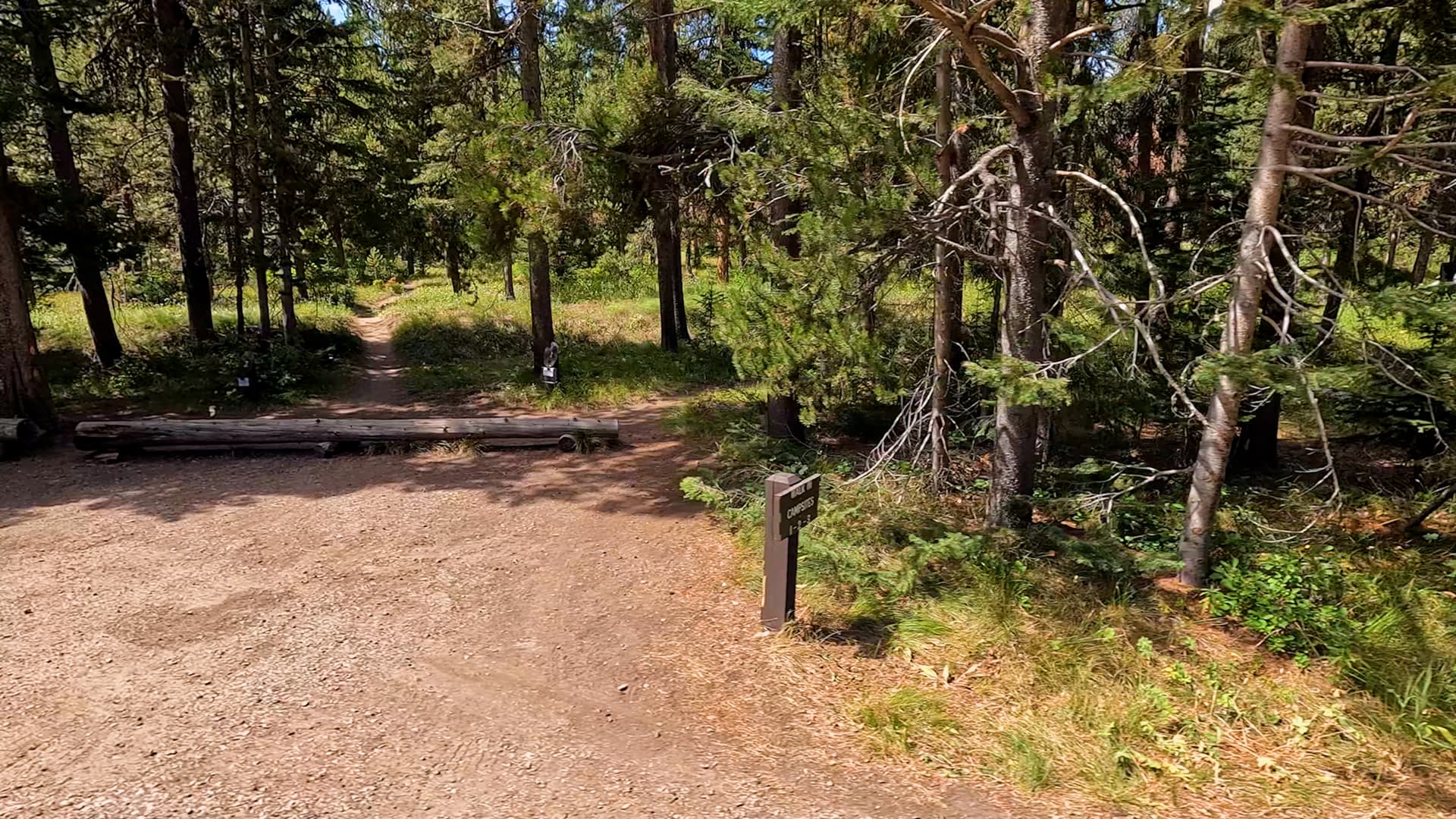 Site 1