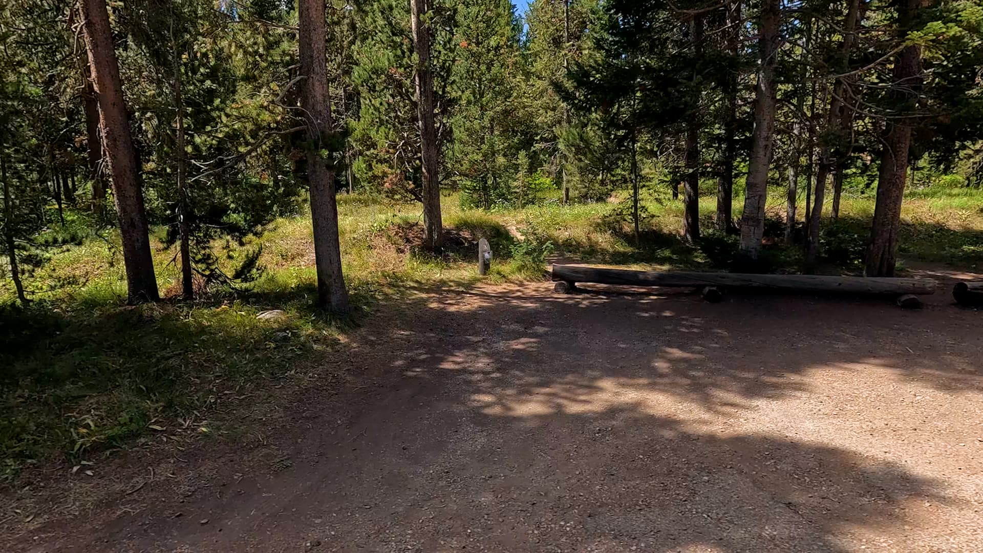 Site 3