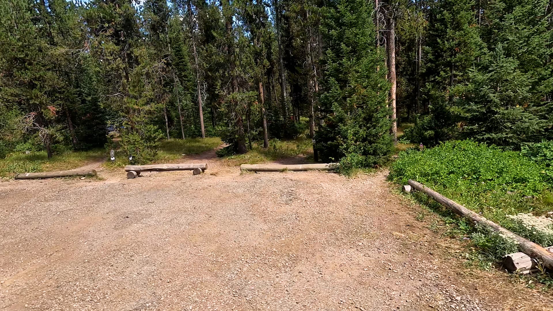 Site 7