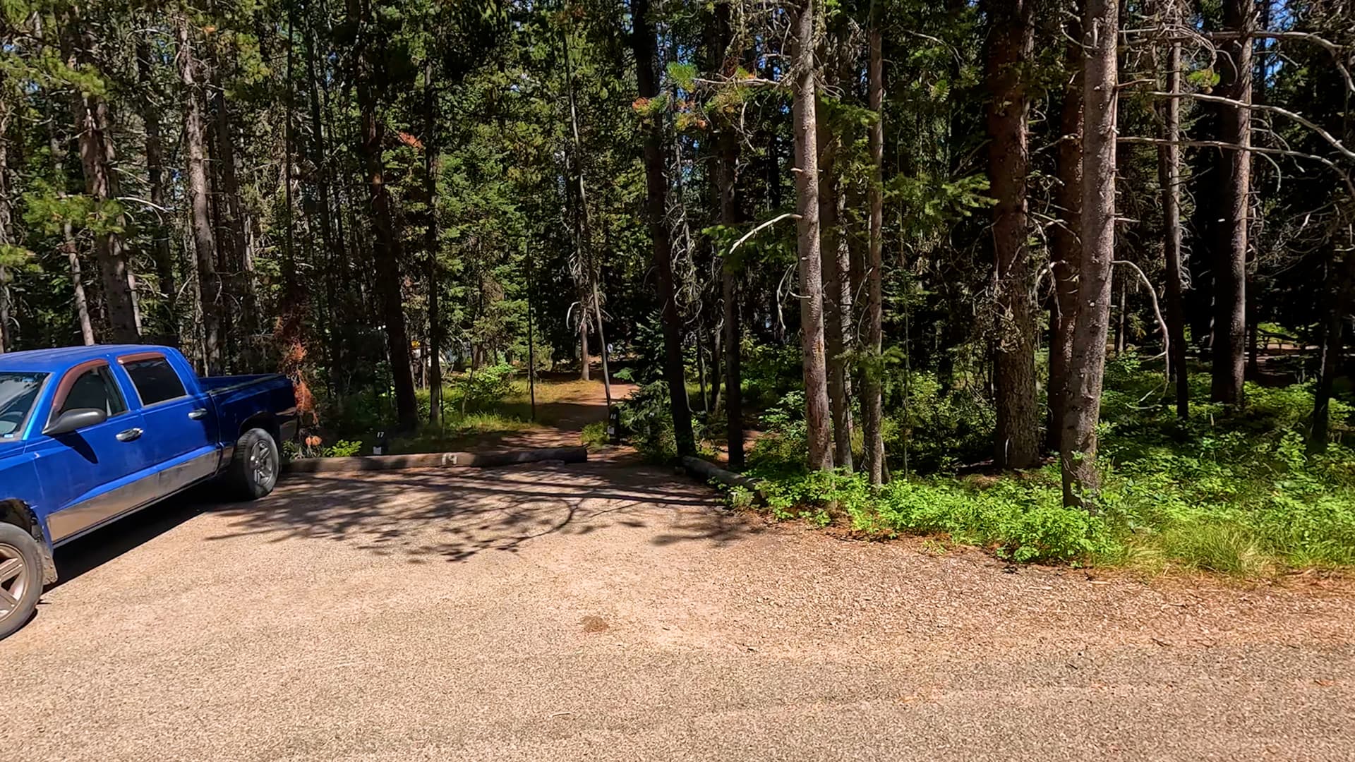 Site 19