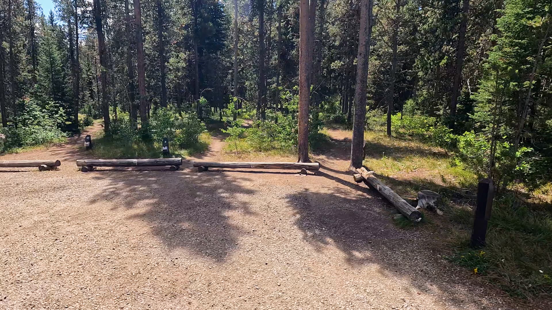 Site 8