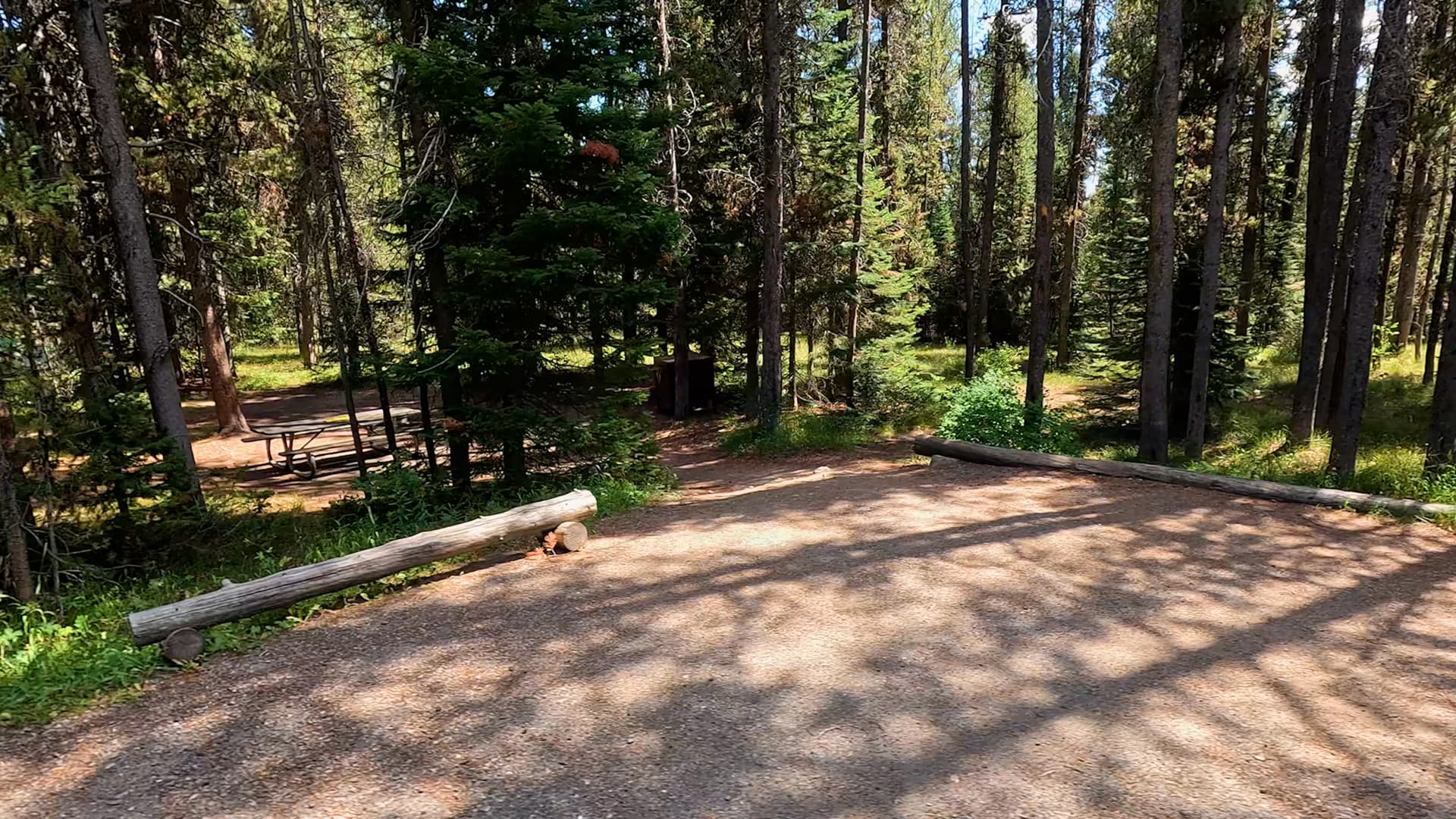 Site 49