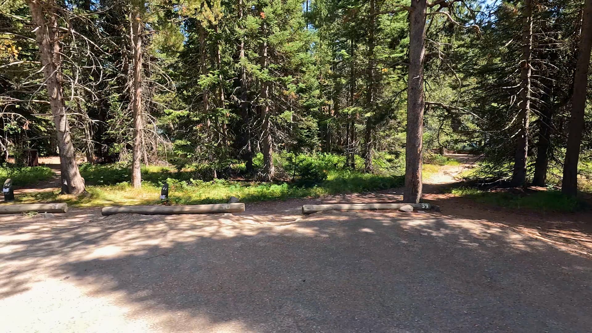 Site 41