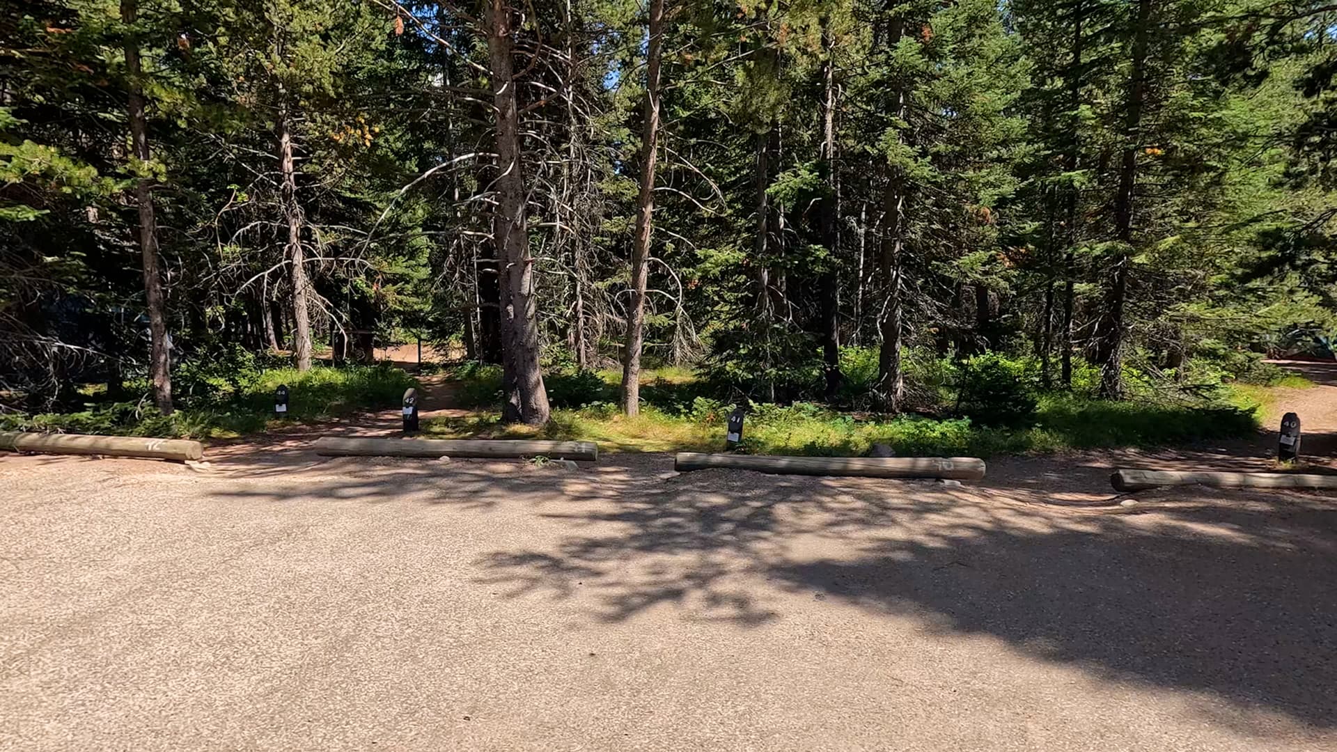 Site 42