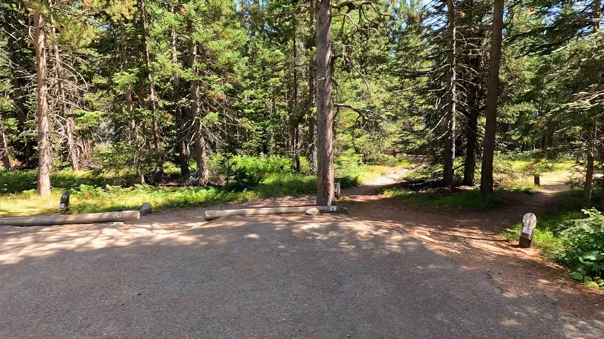 Site 40