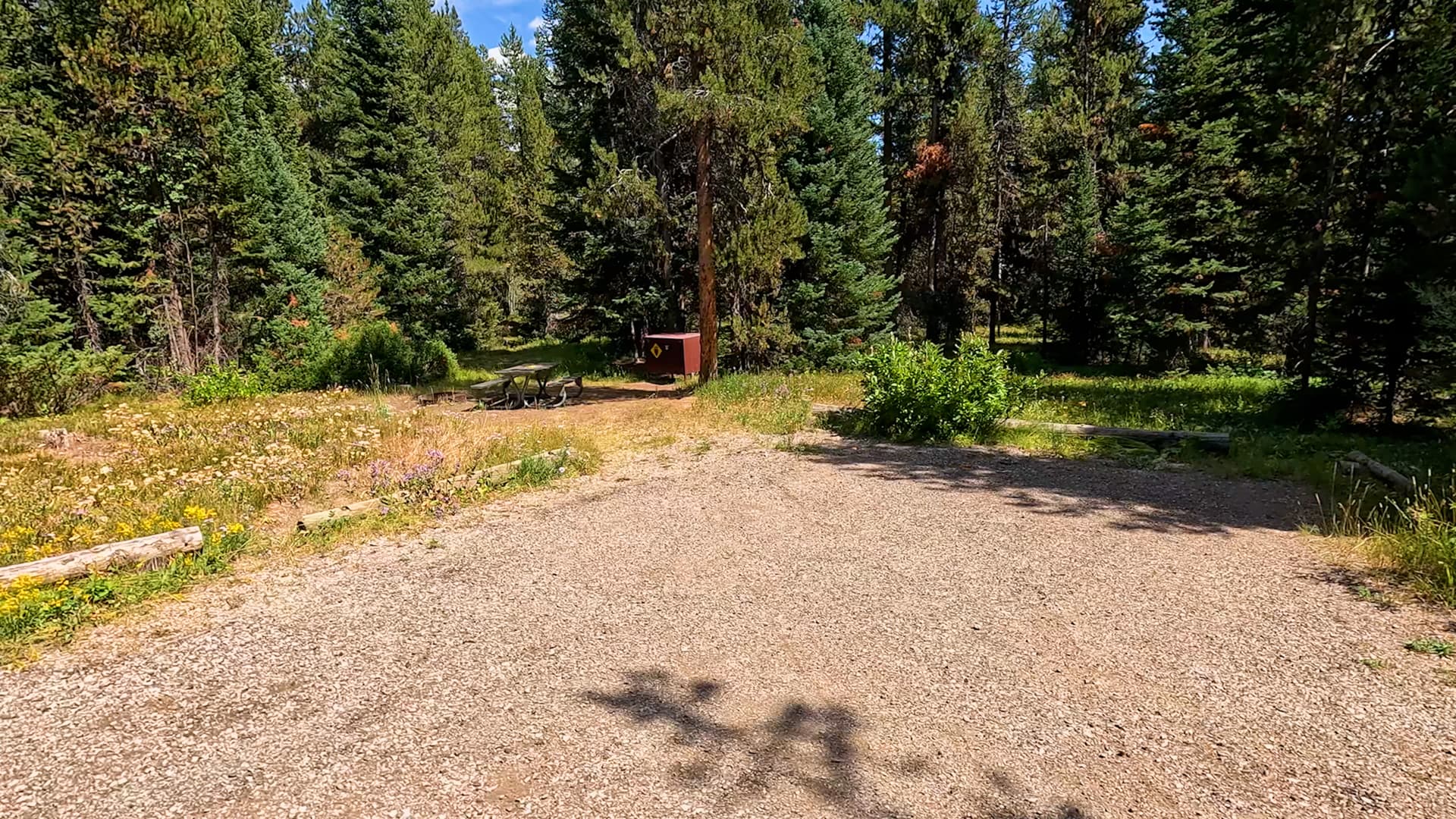 Site 55