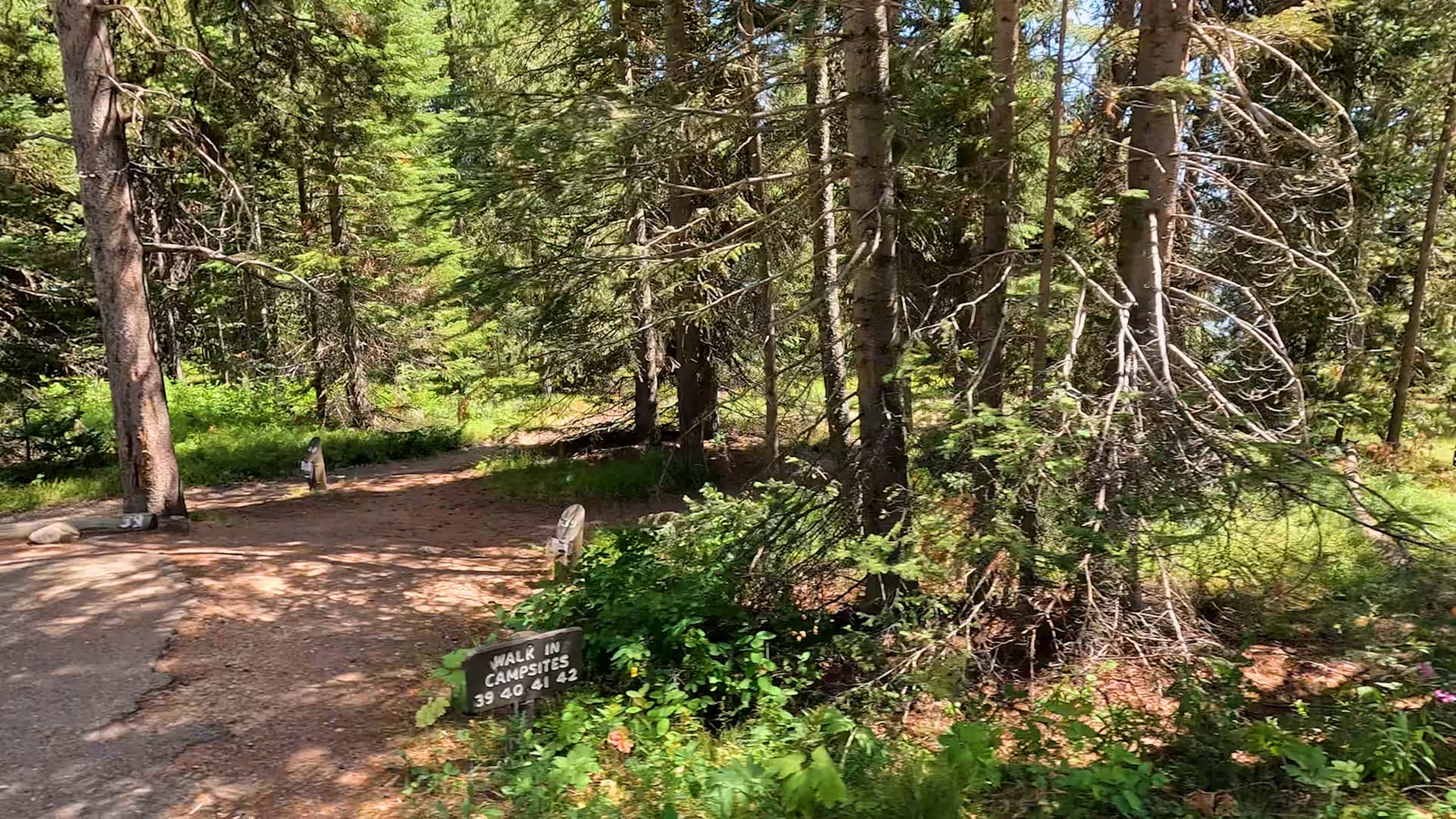 Site 39