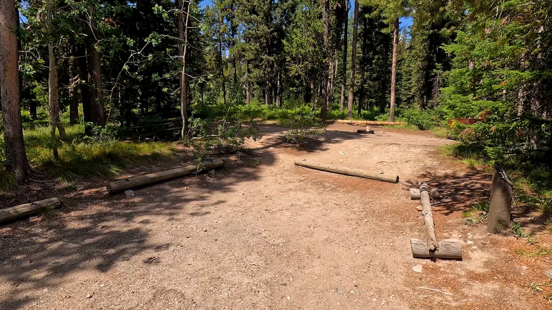 Site 31