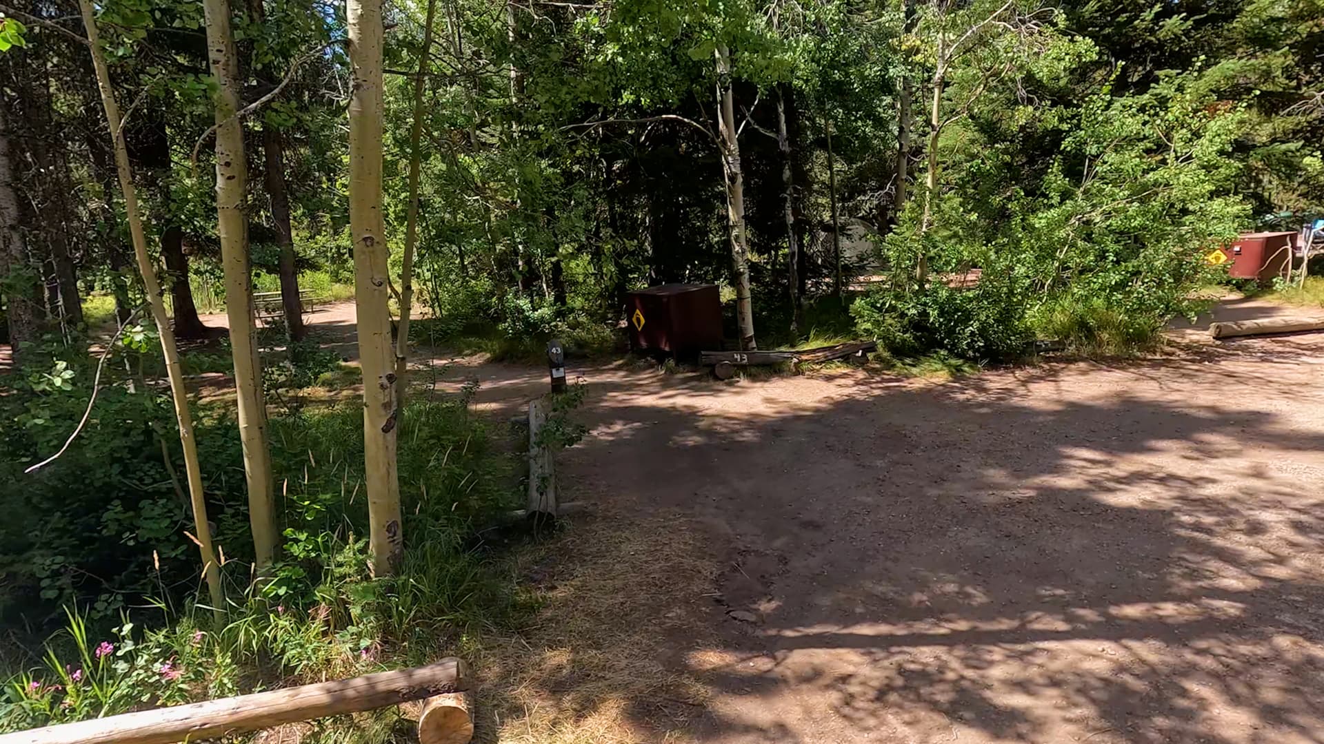 Site 43