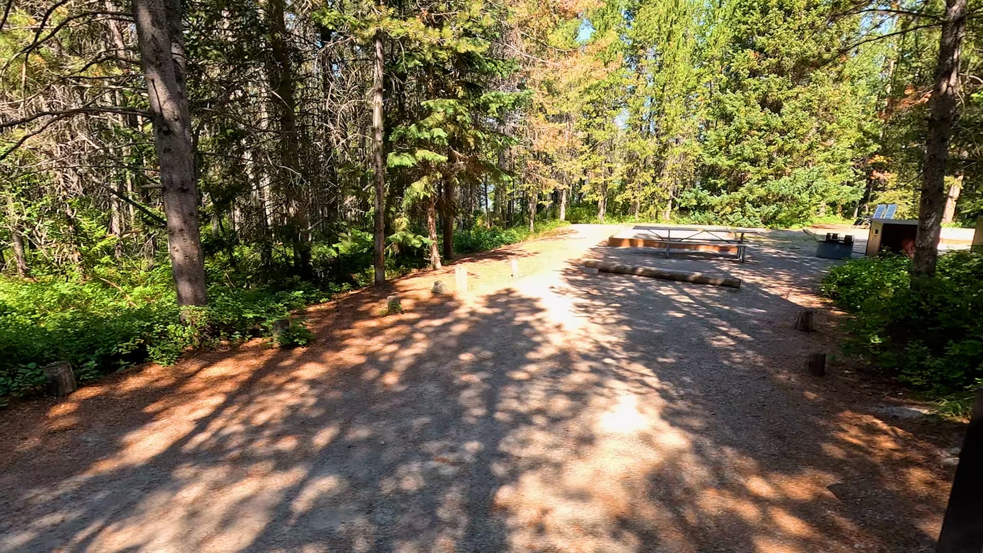 Site 44
