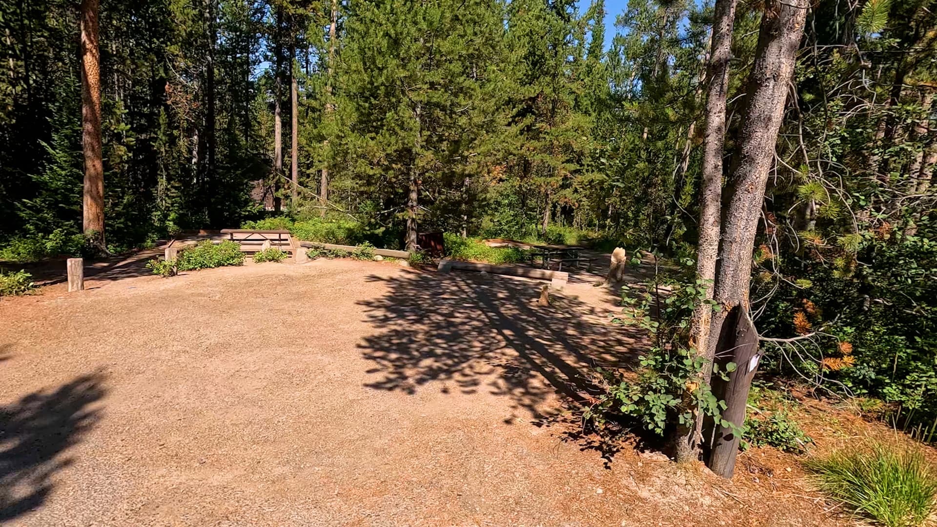 Site 38