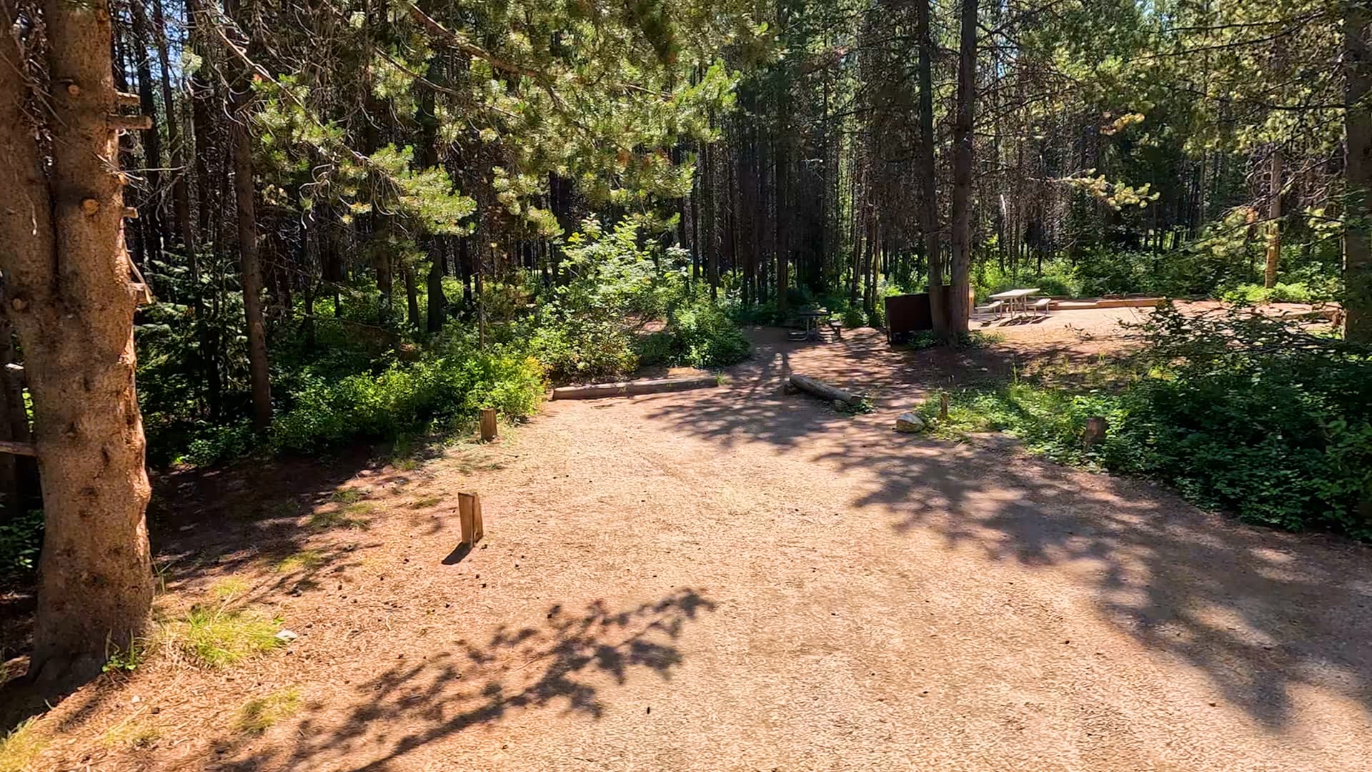 Site 45