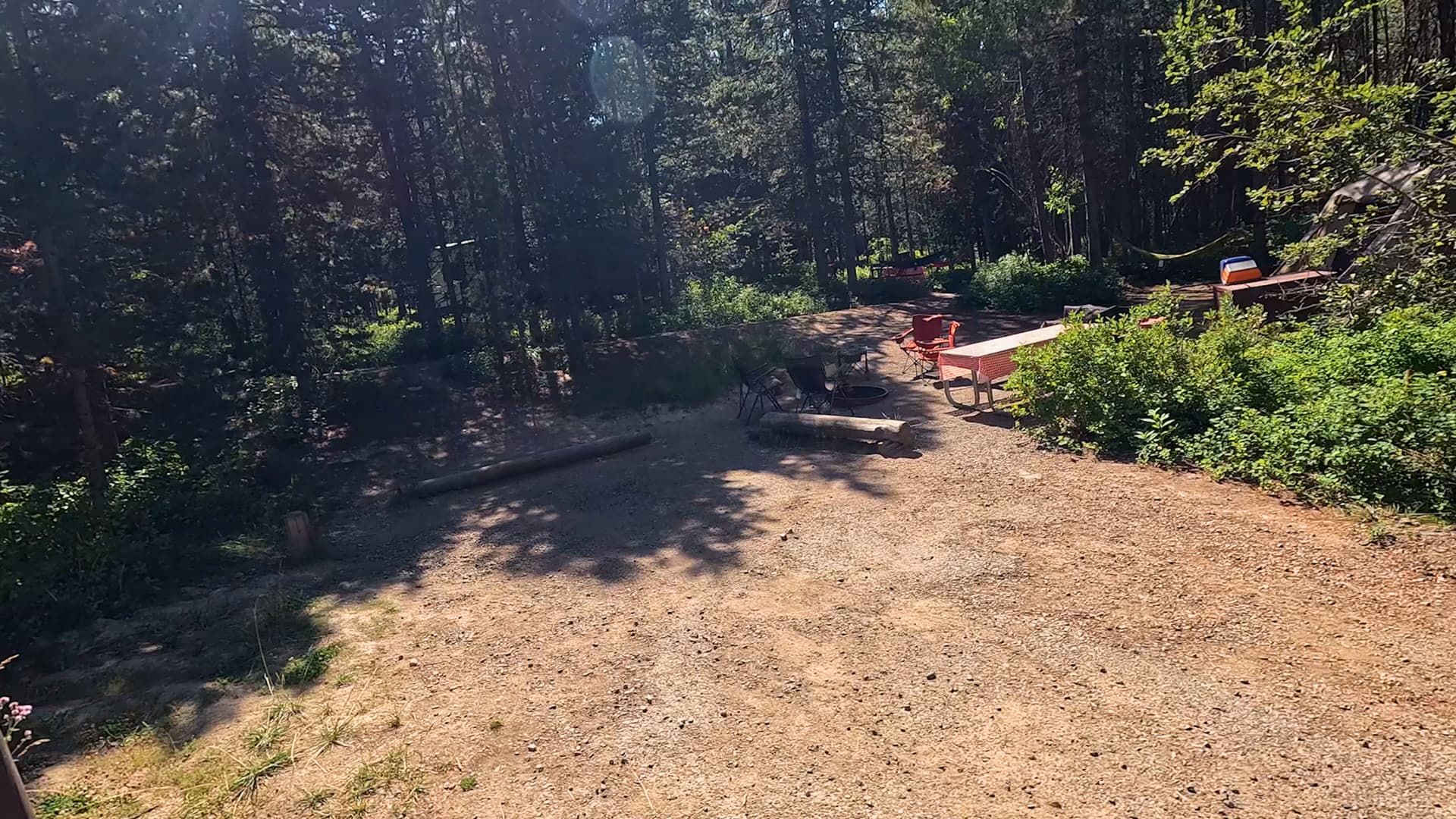 Site 40