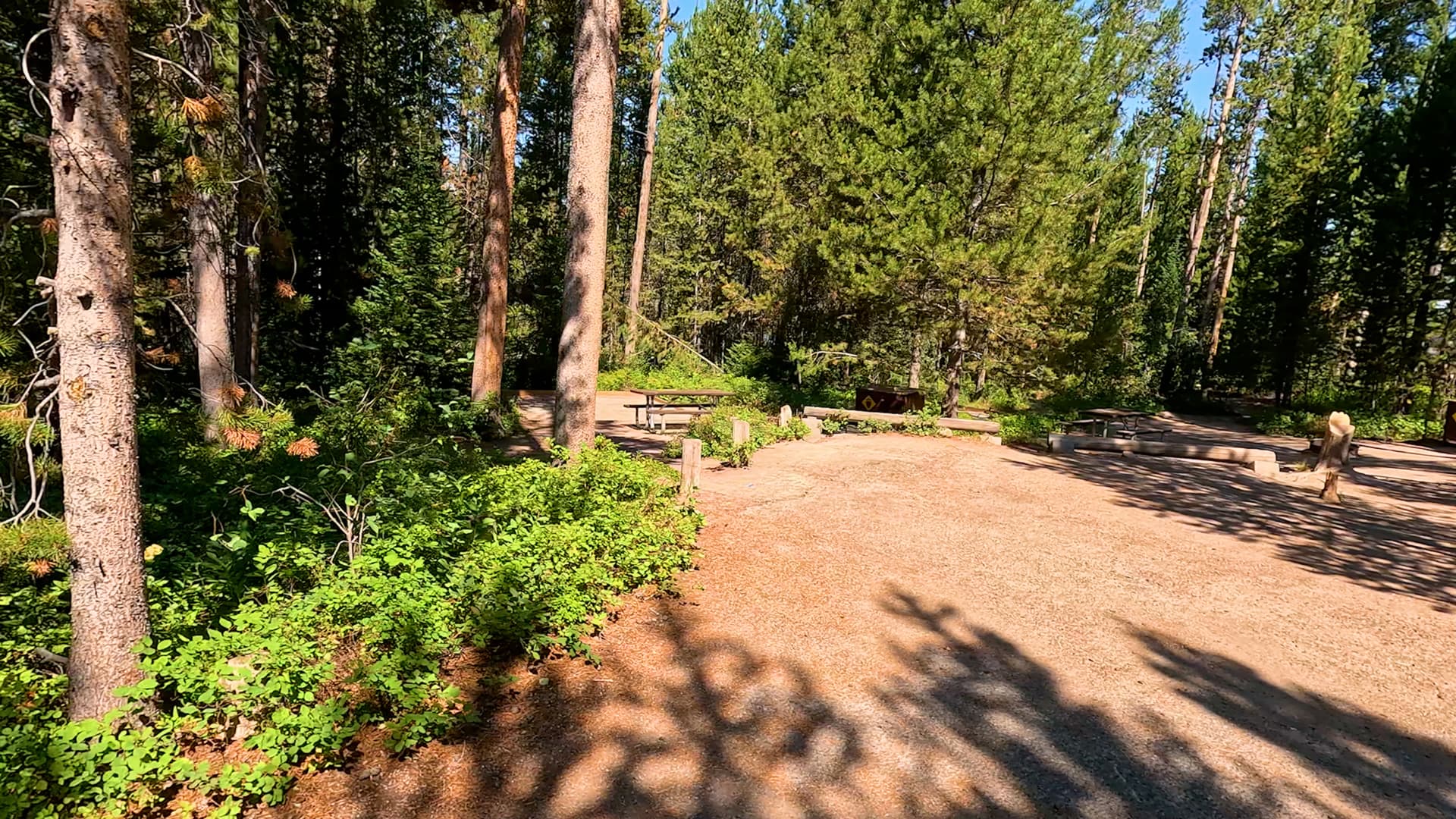 Site 39