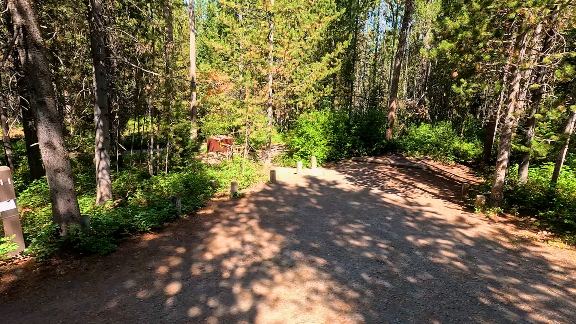 Site 41