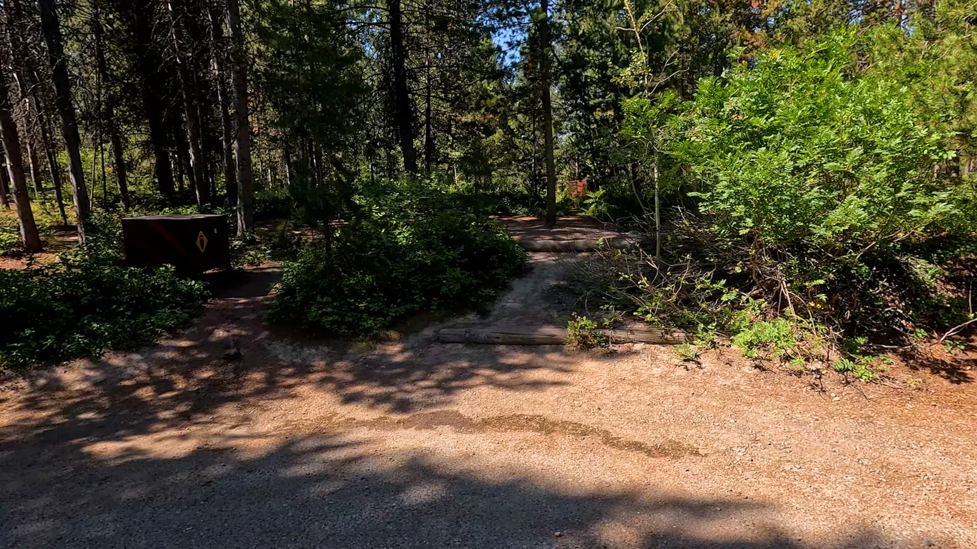 Site 51