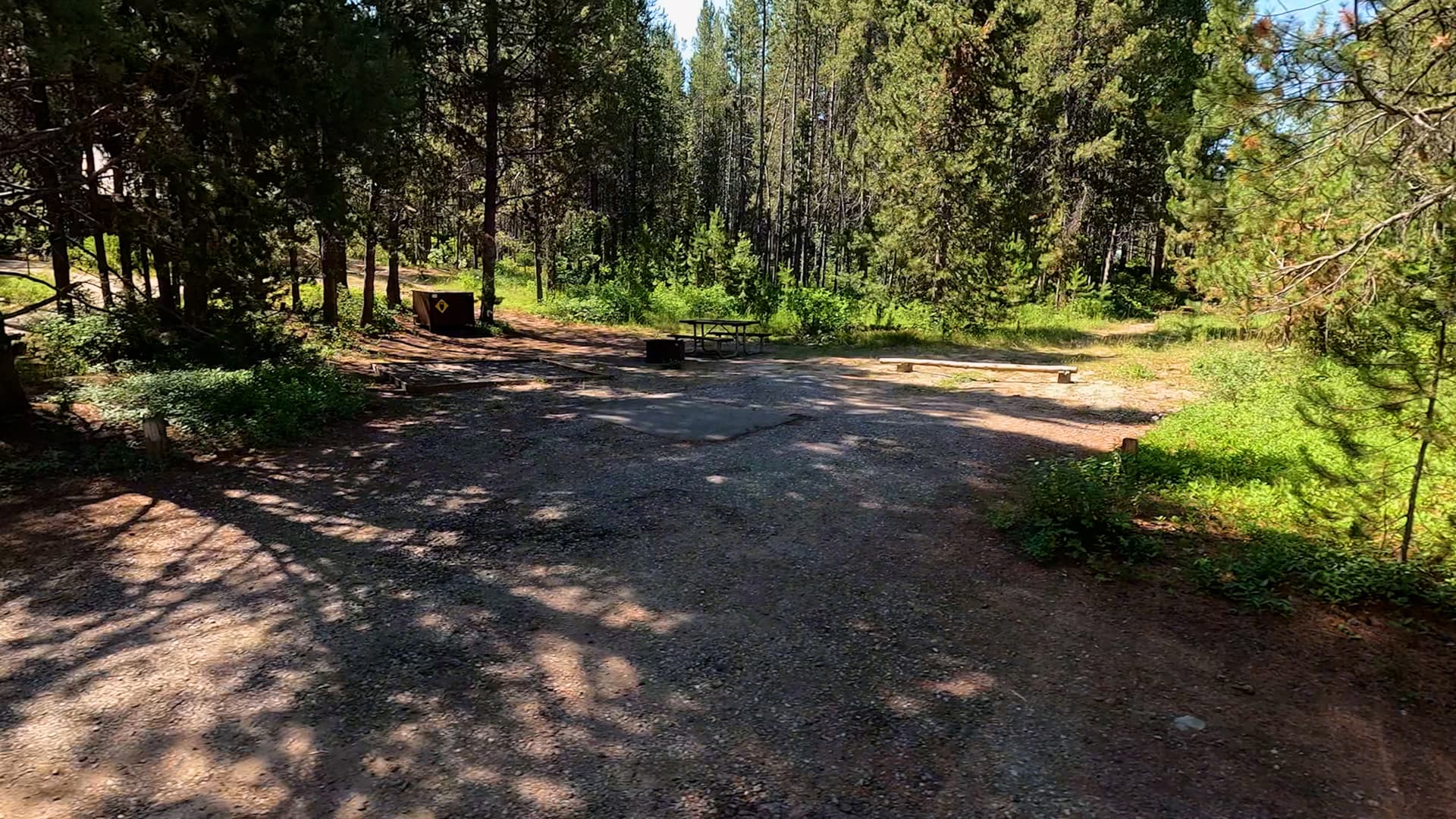 Site 54