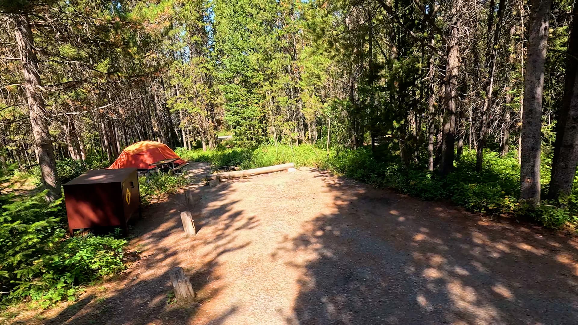 Site 64