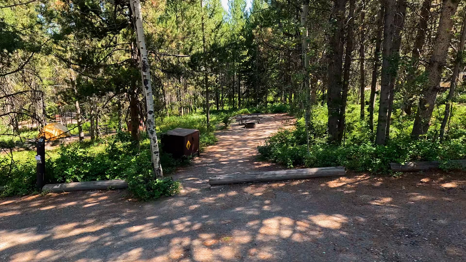 Site 50