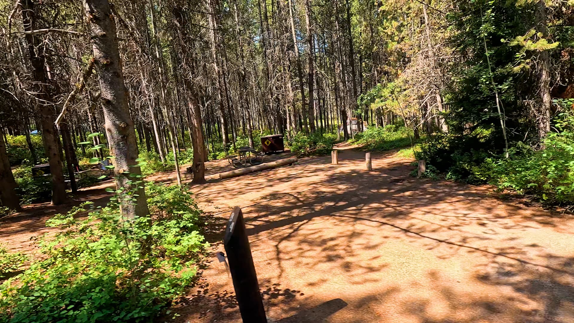 Site 84