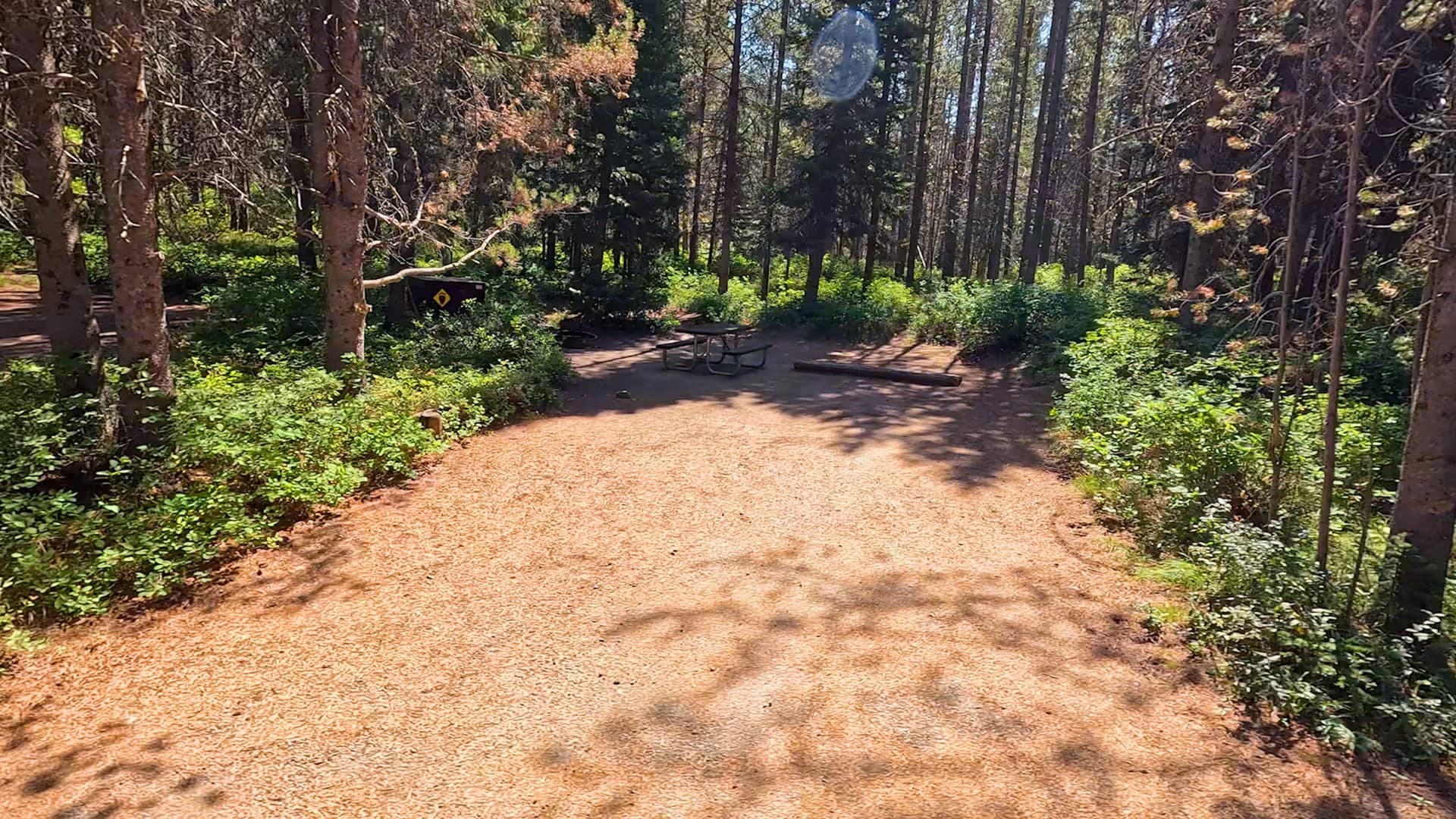 Site 79