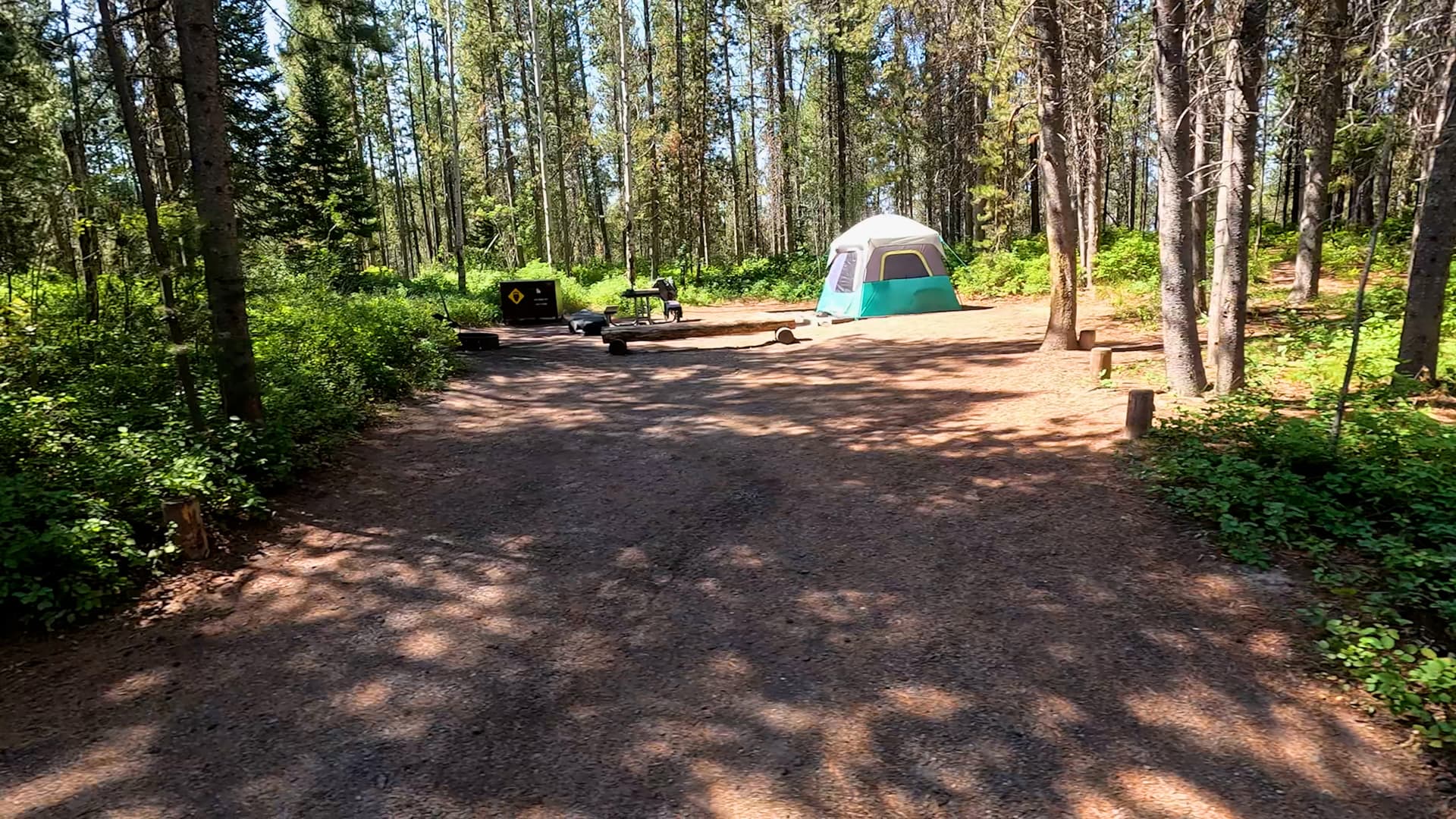Site 75