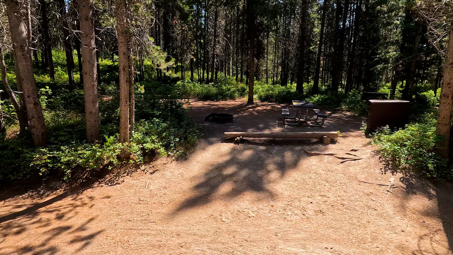 Site 81