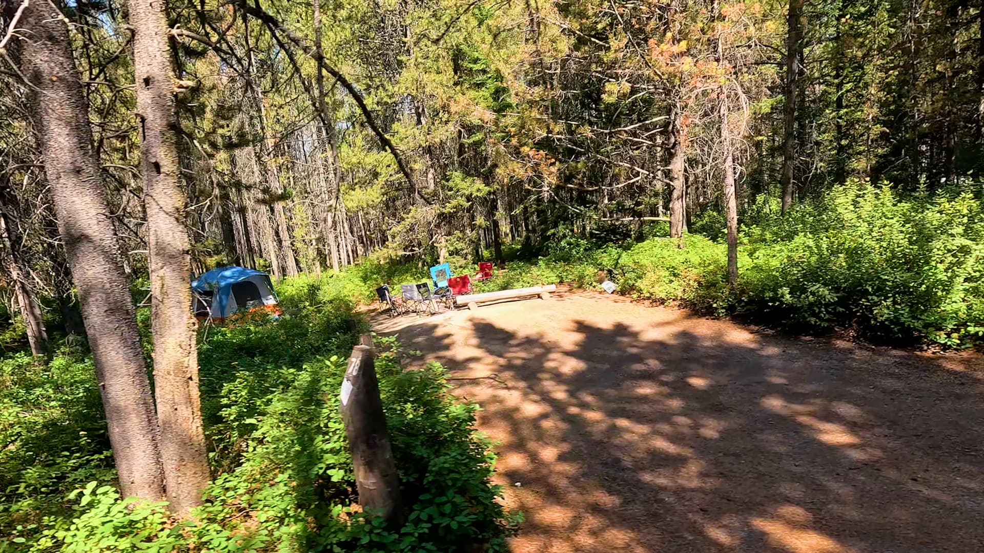 Site 78