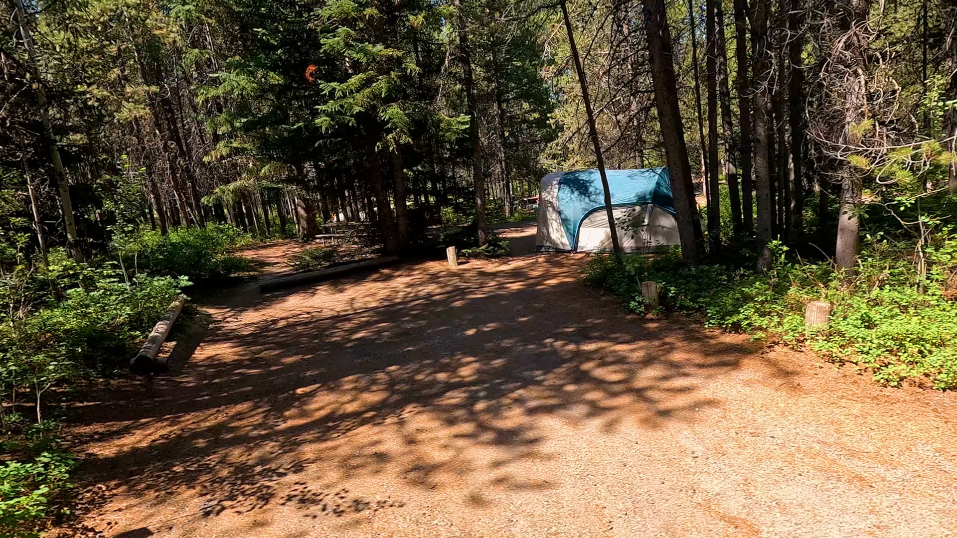 Site 85