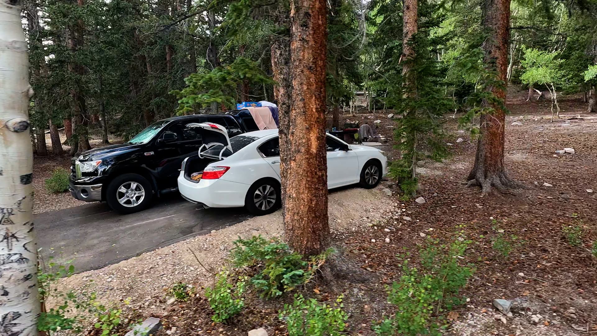 Site 7