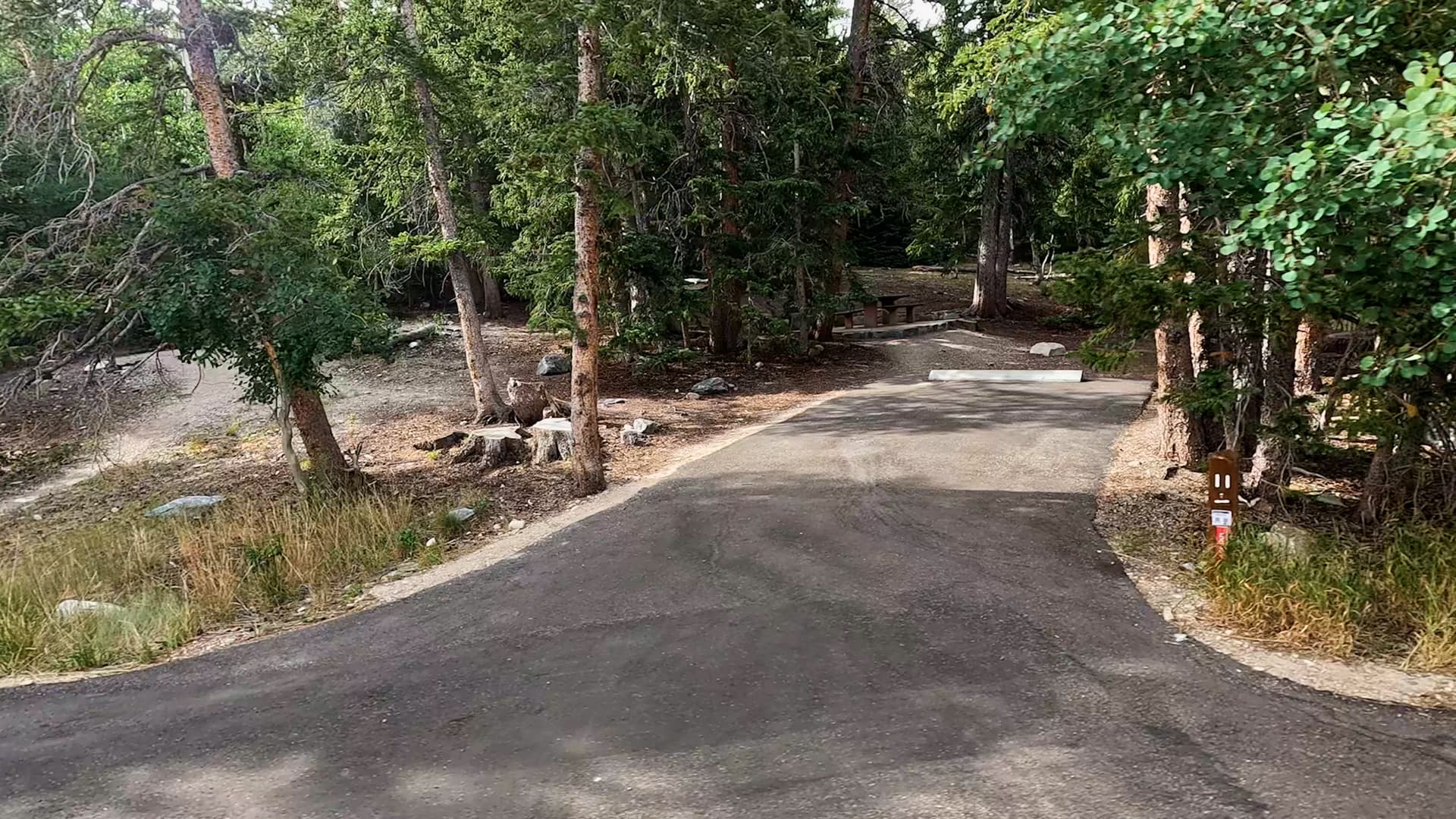 Site 11