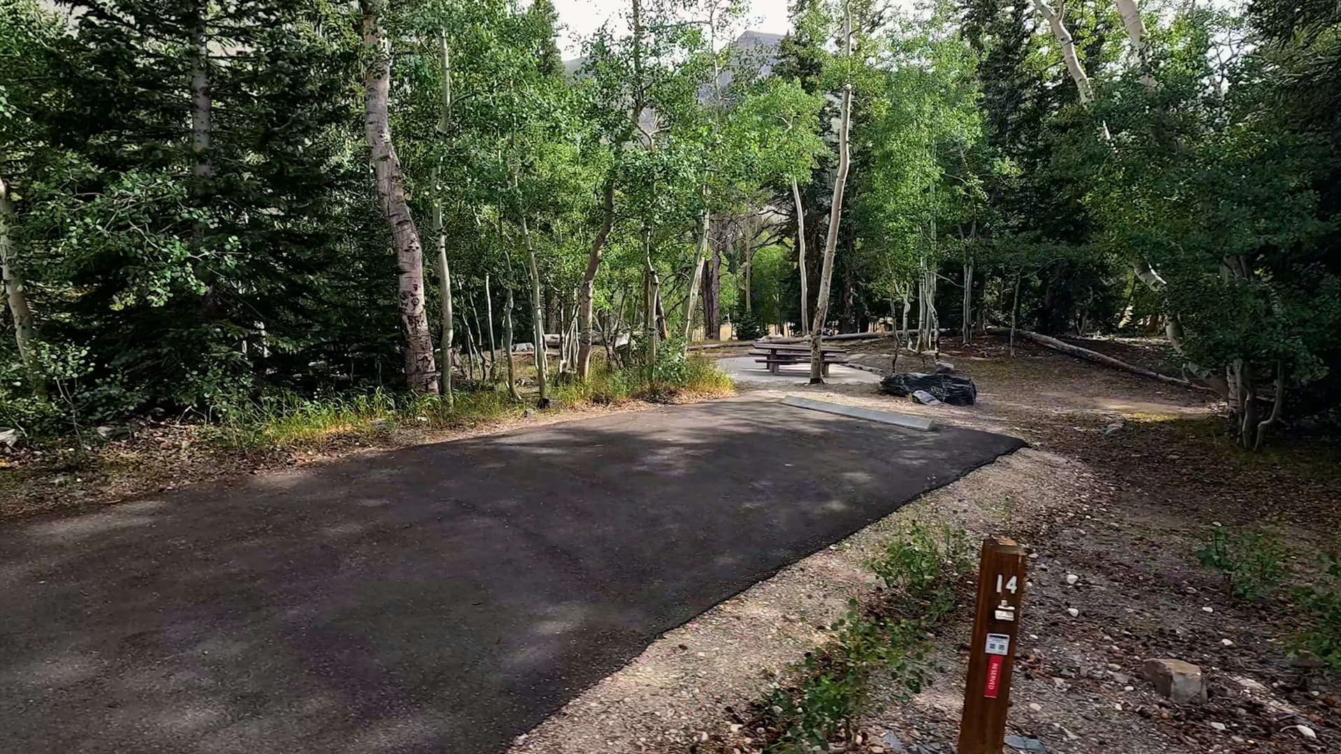 Site 14