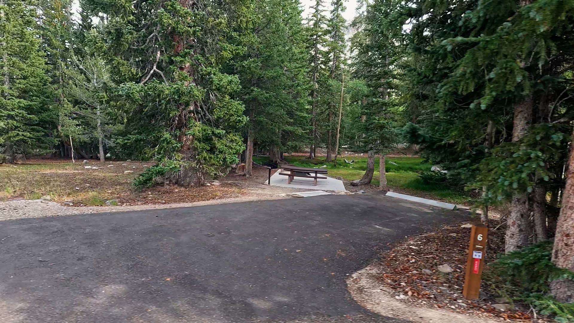 Site 6