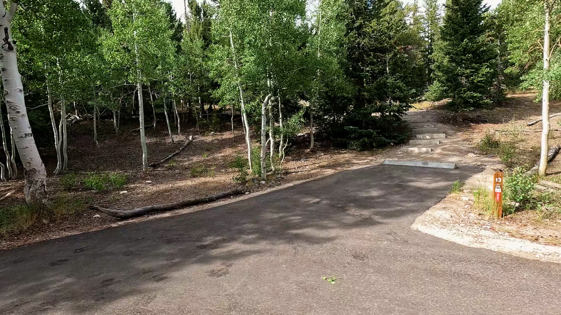 Site 13