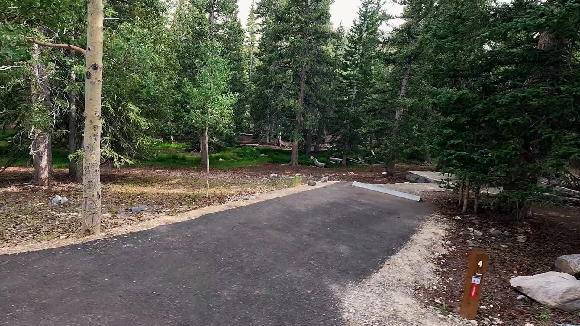 Site 4