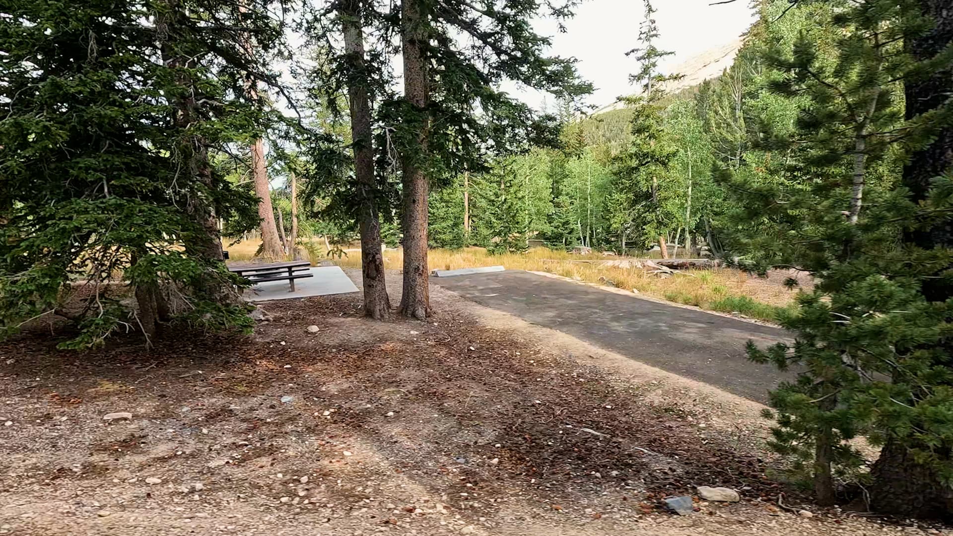 Site 9