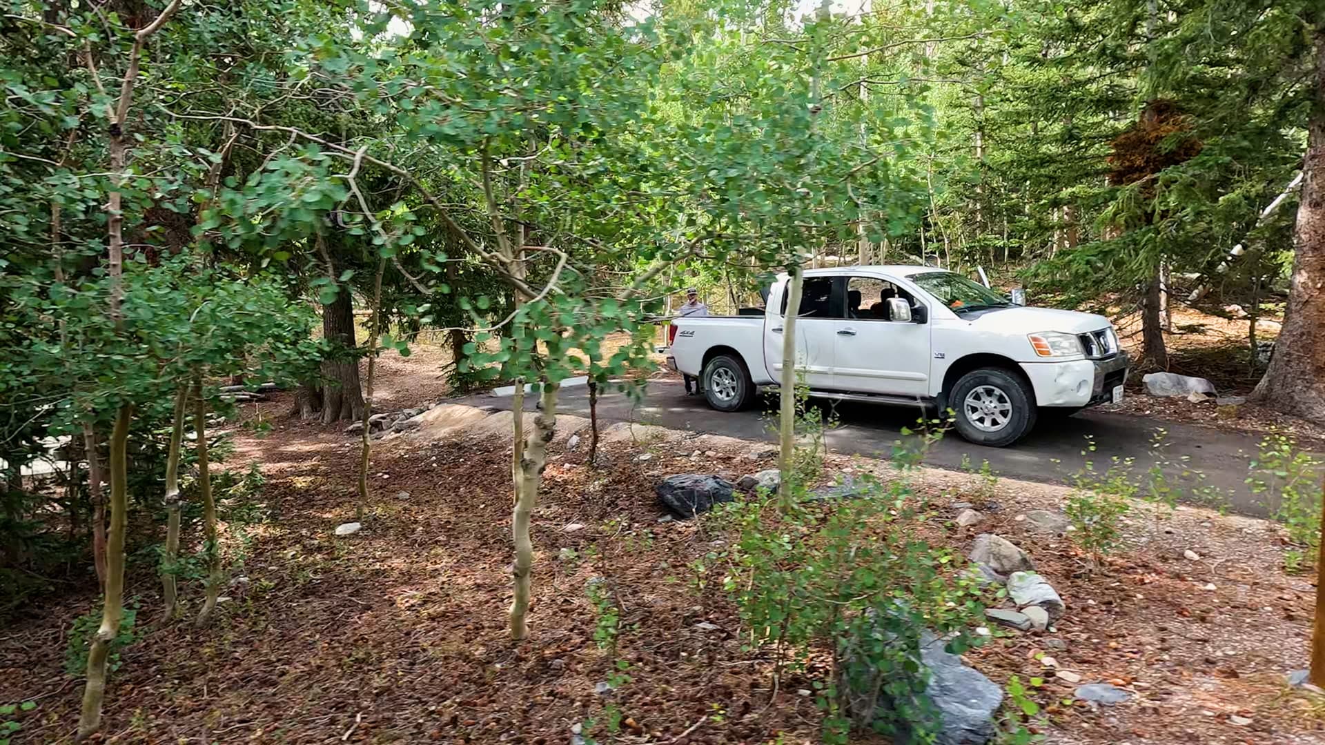Site 12