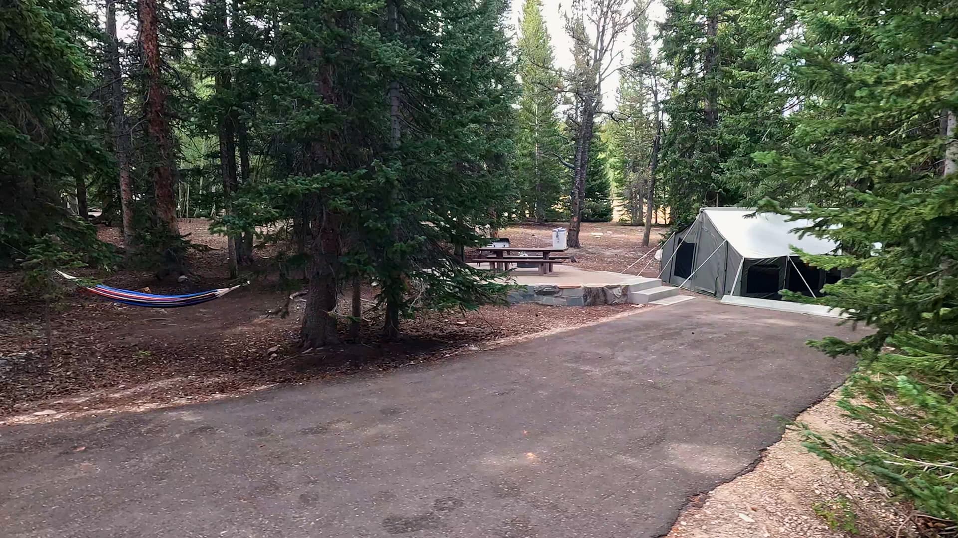 Site 29