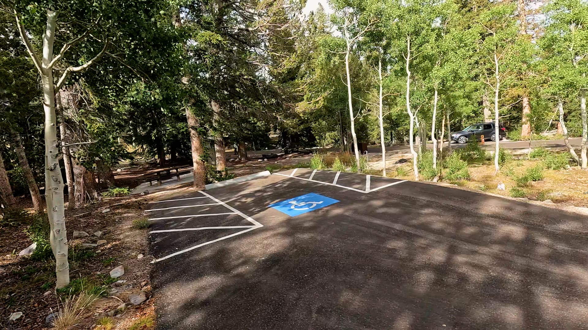 Site 21