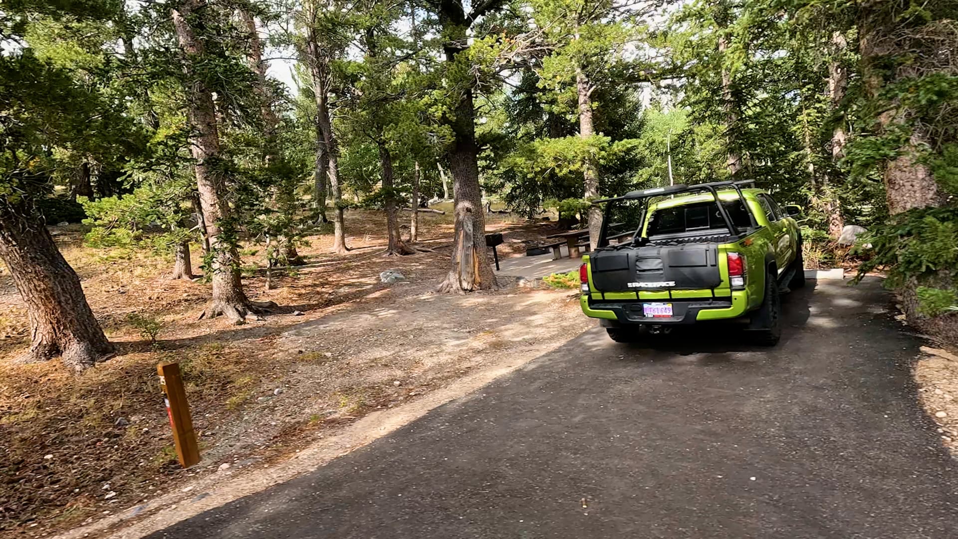 Site 25