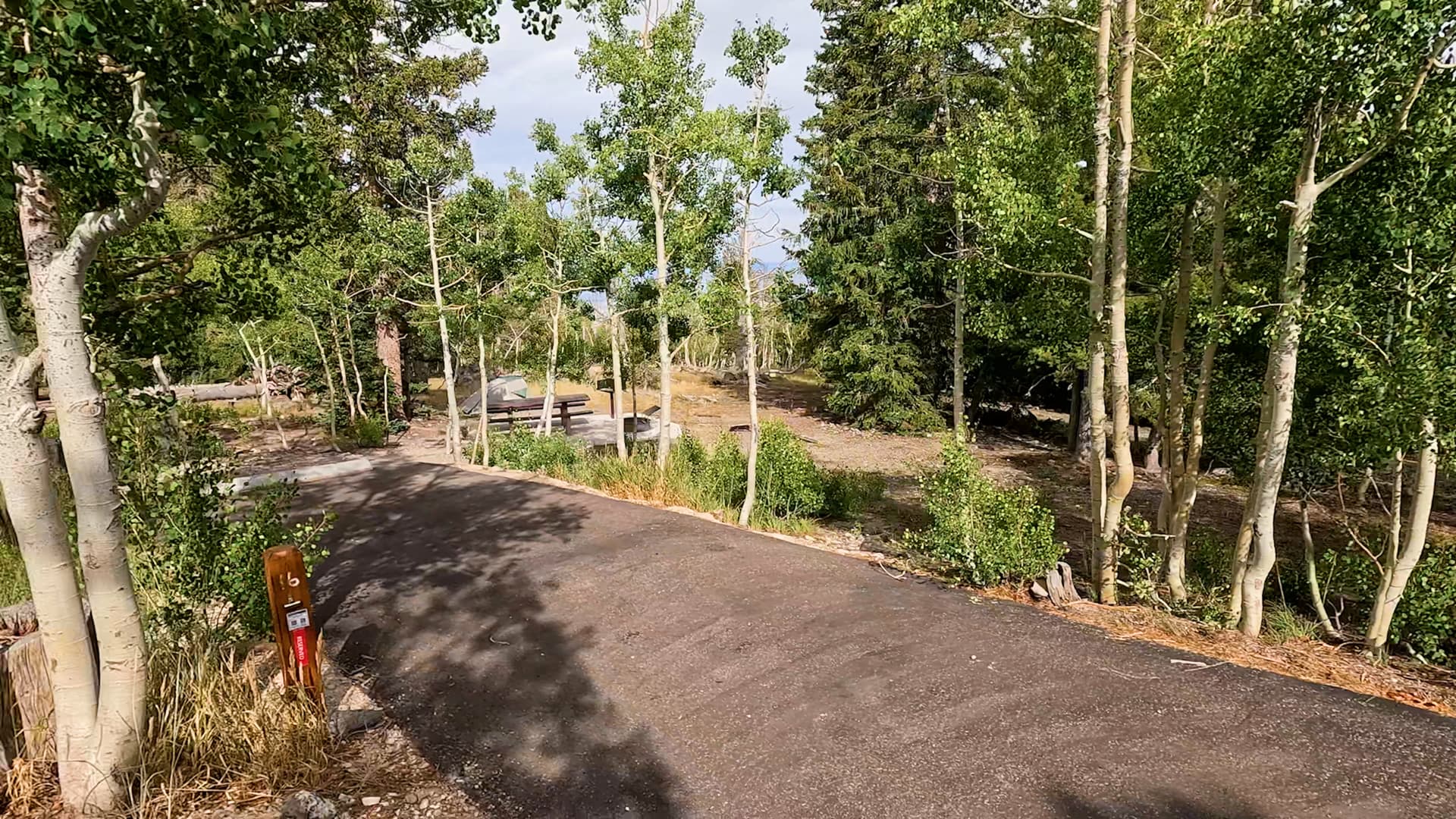 Site 16