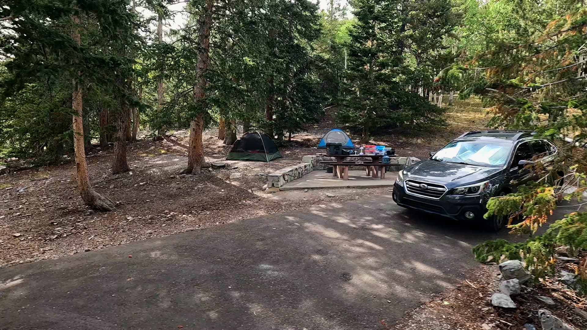 Site 19