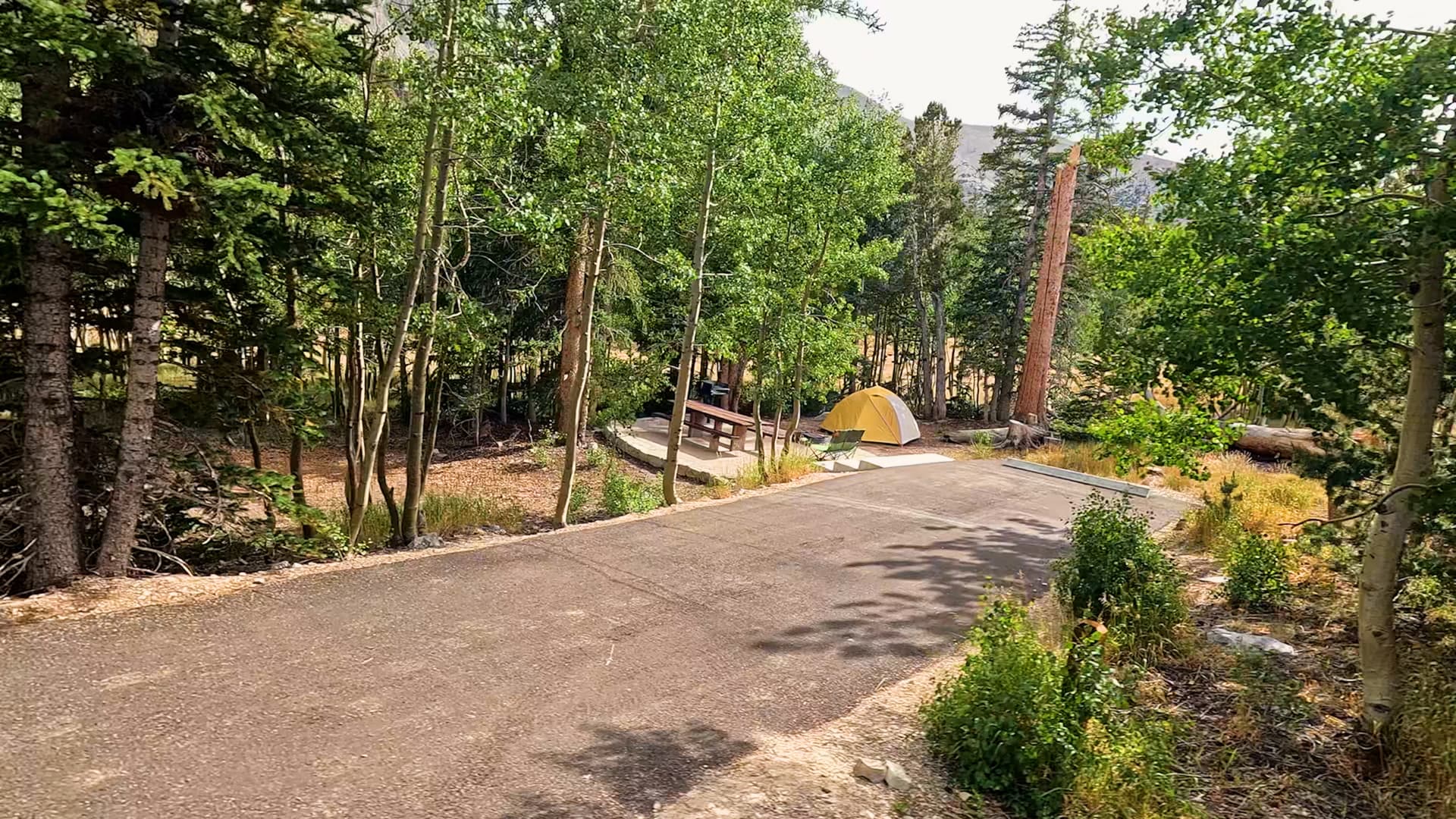 Site 23