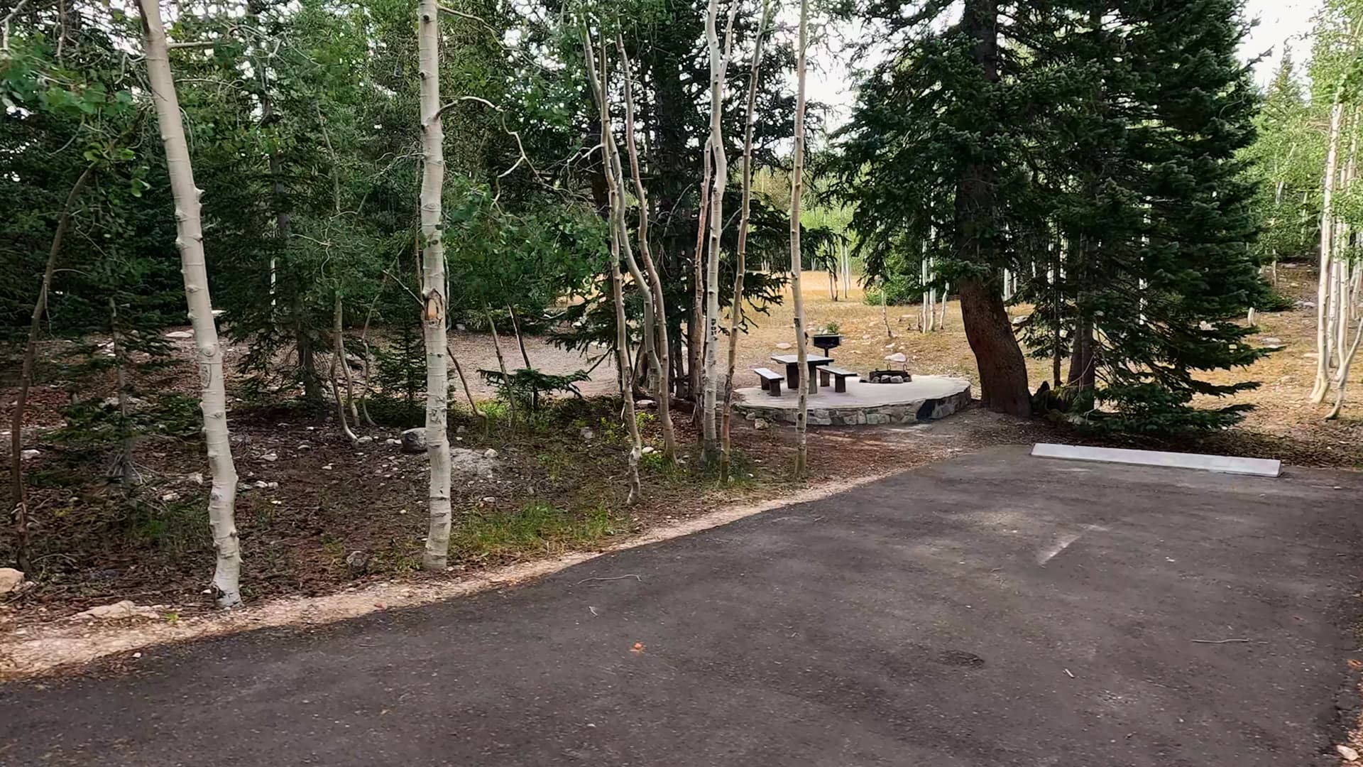 Site 27