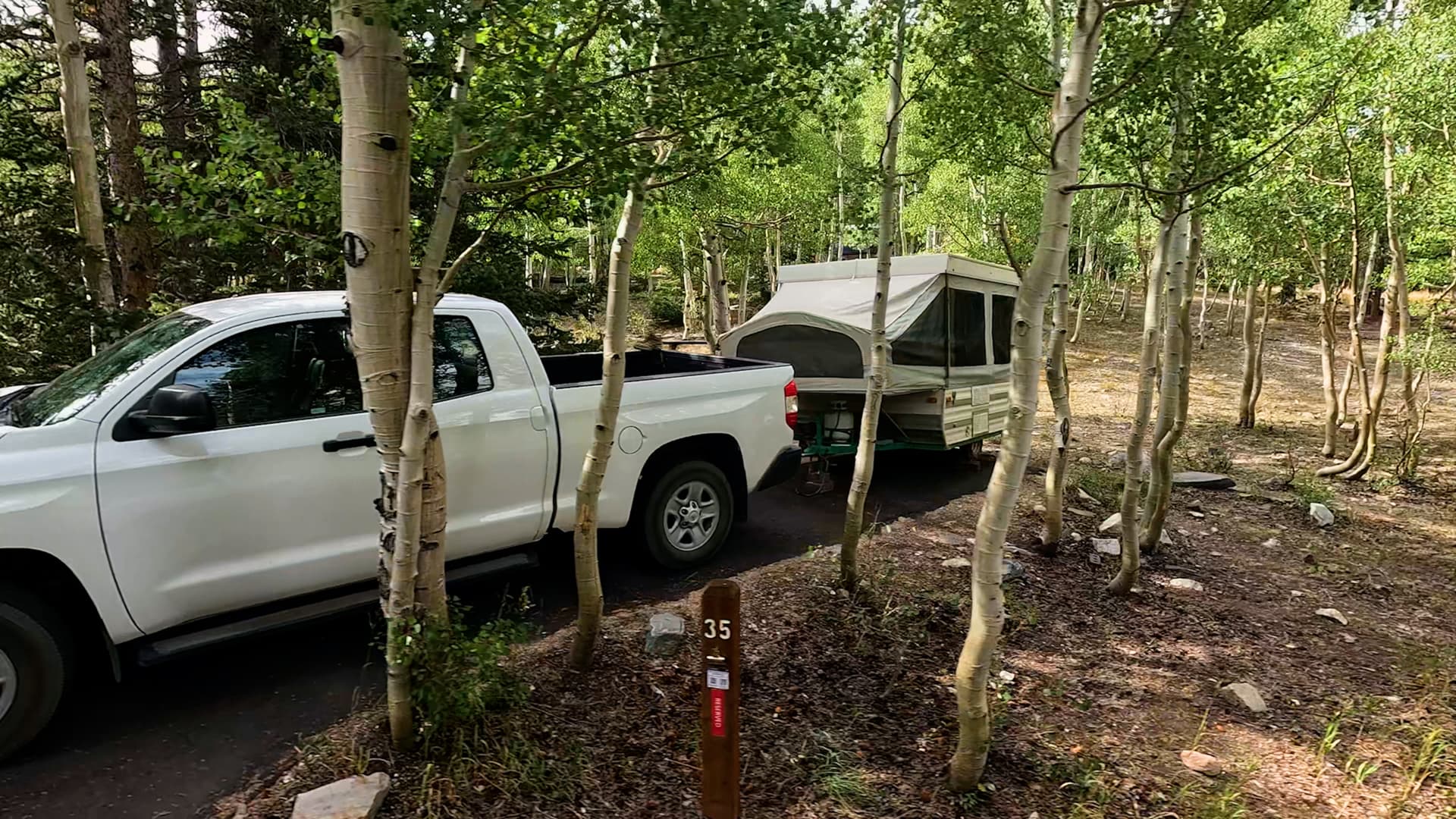 Site 35