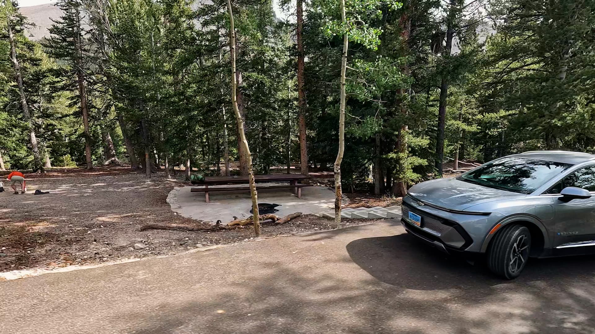 Site 15