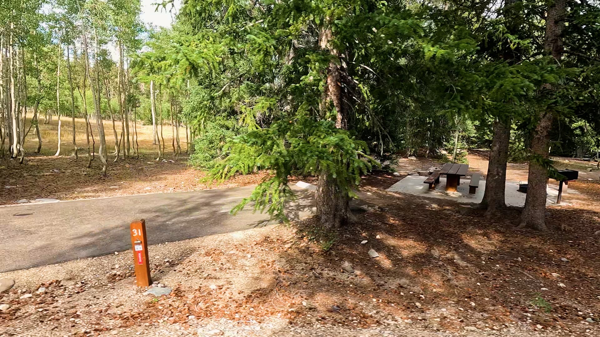Site 31