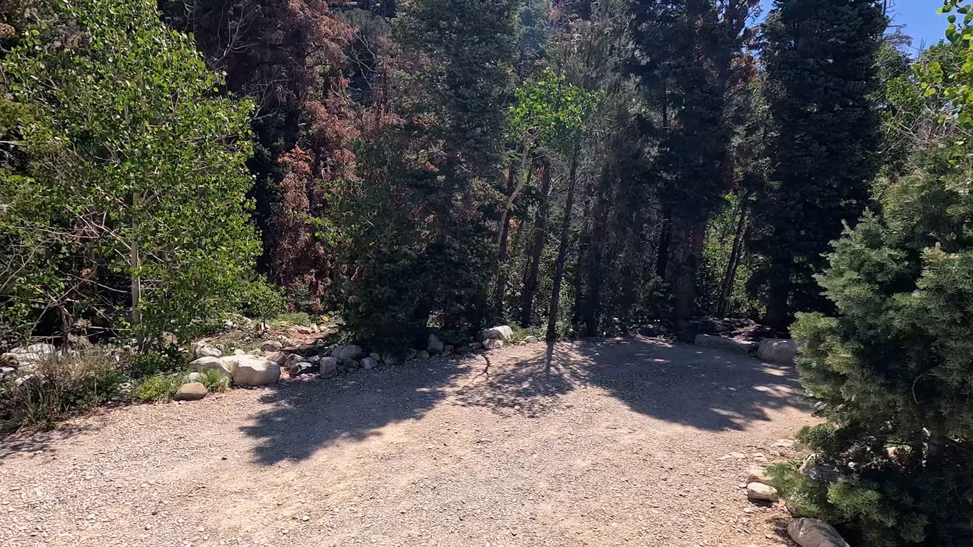 Site 14